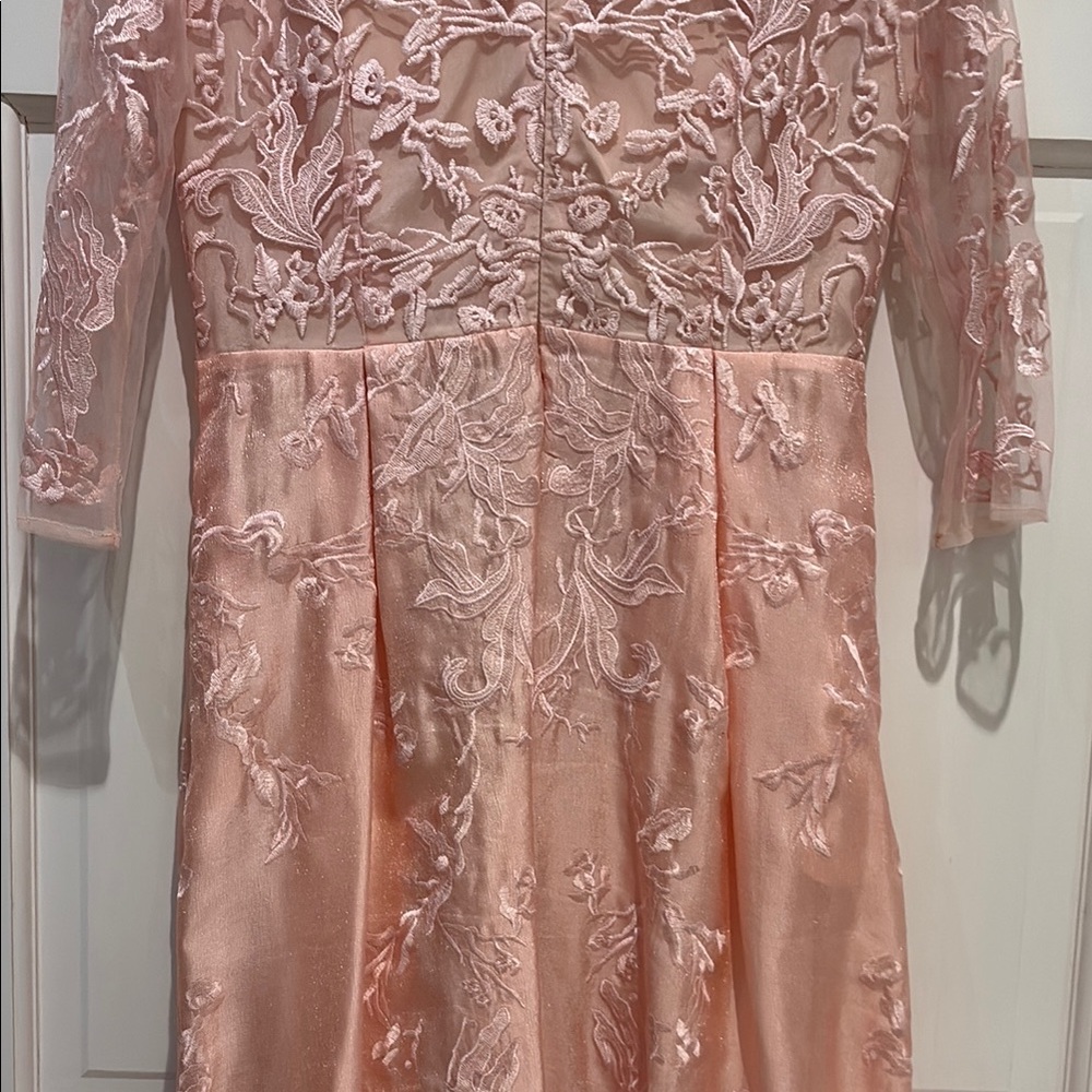 Embroidered Illusion Yoke Midi Dress in Blush Pink - Picture 4 of 7